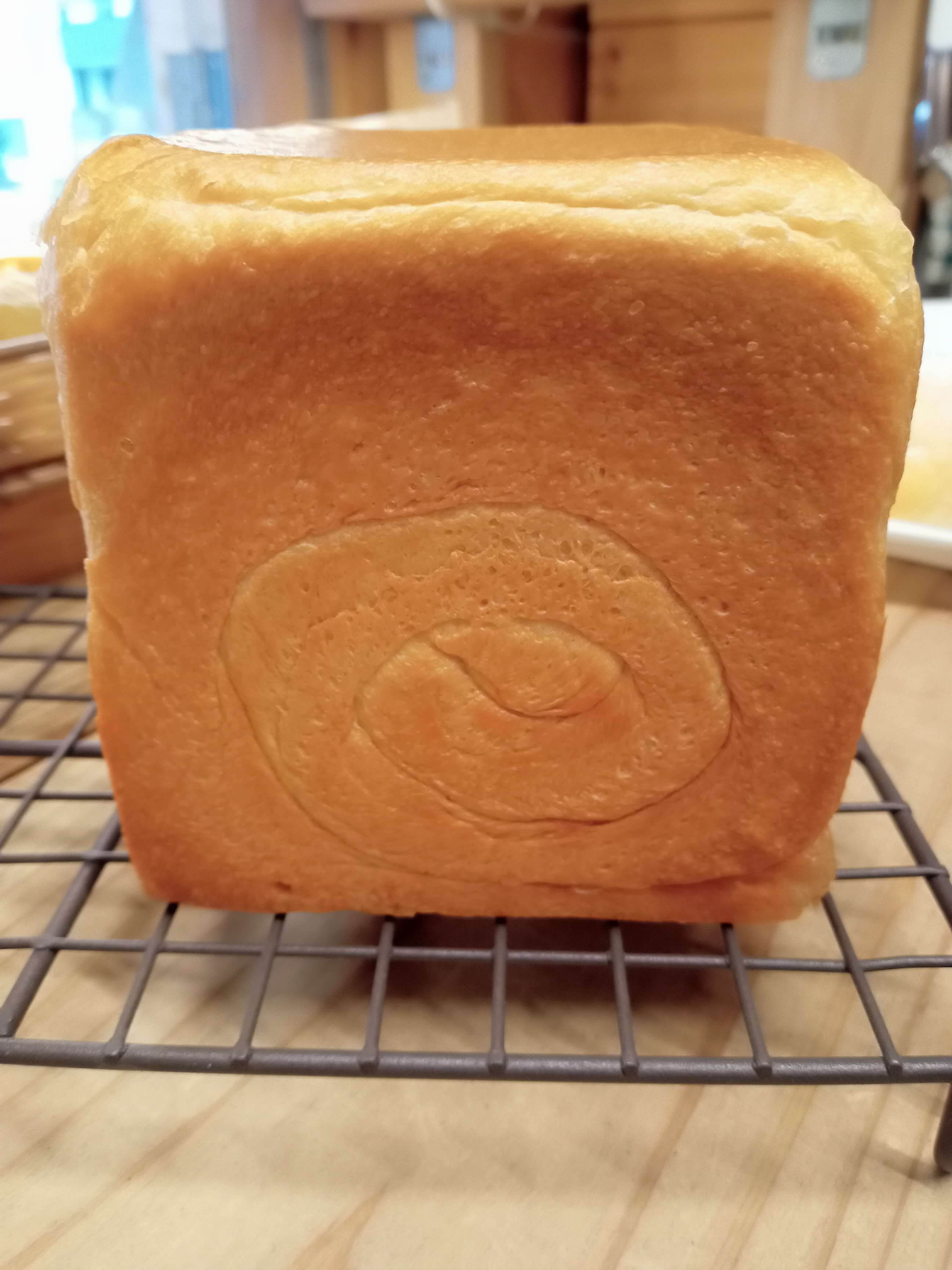 リッチパンドミ